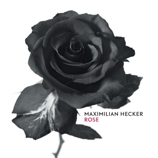 Album Maximilian Hecker - Rose