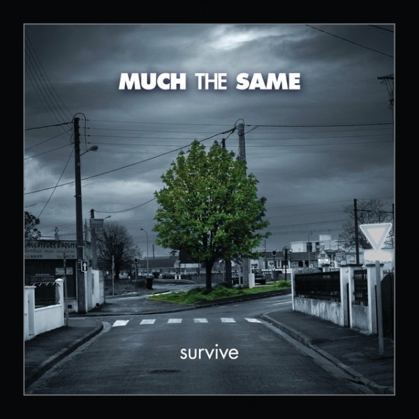 Survive - album