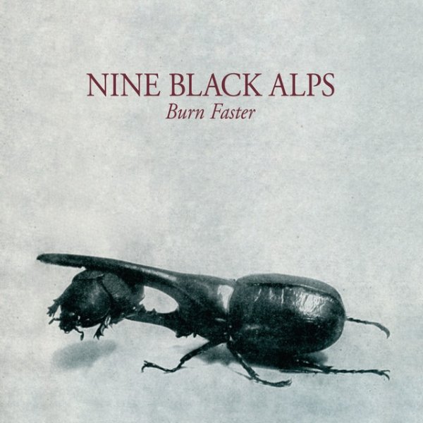 Album Nine Black Alps - Burn Faster