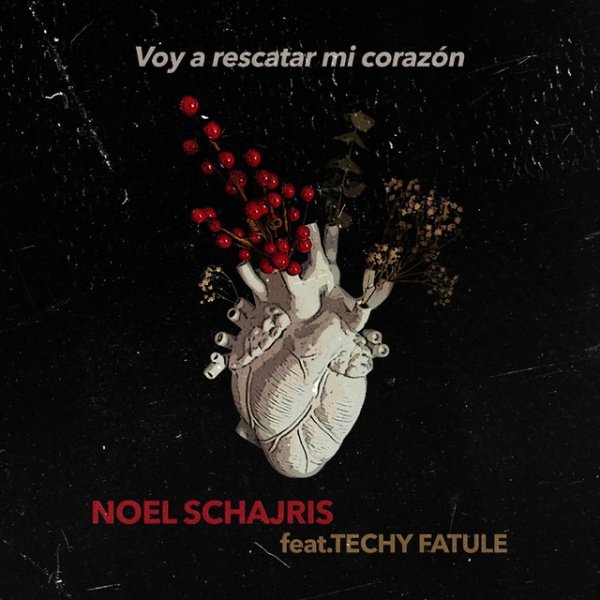 Album Noel Schajris - Voy a Rescatar Mi Corazón