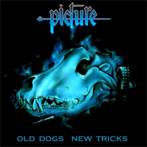Album Picture - Old Dogs New Tricks