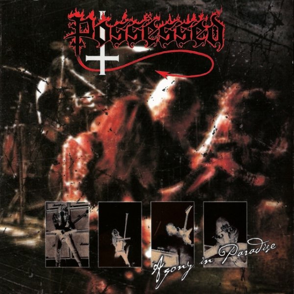 Possessed Agony in Paradise, 2004