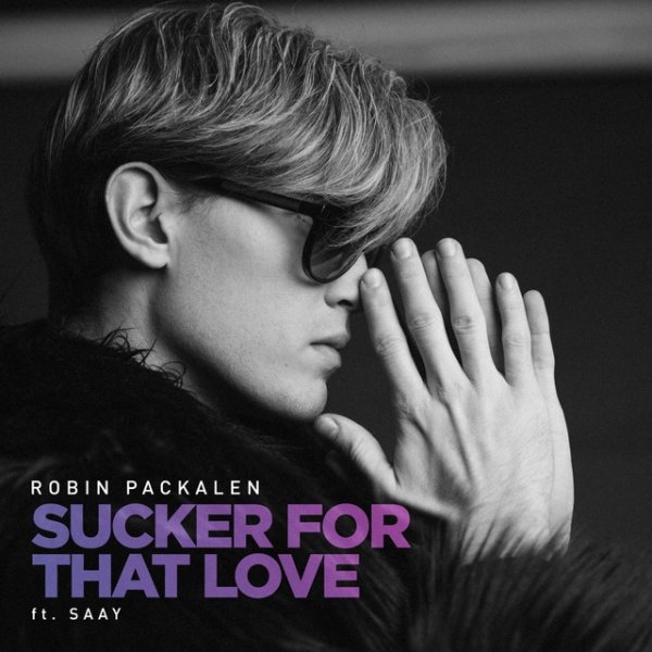 Album Robin - Sucker For That Love
