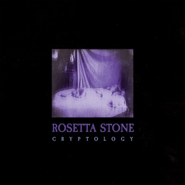 Album Rosetta Stone - Shock