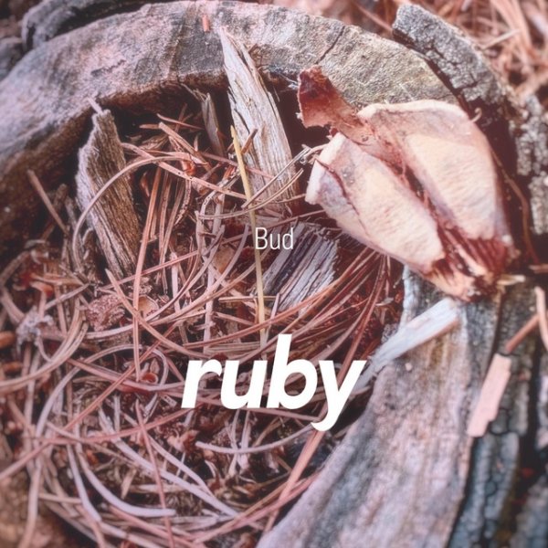 Album Ruby - Bud