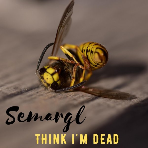 Album Semargl - Think I