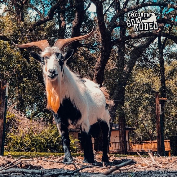 The Great Goat Rodeo Album 