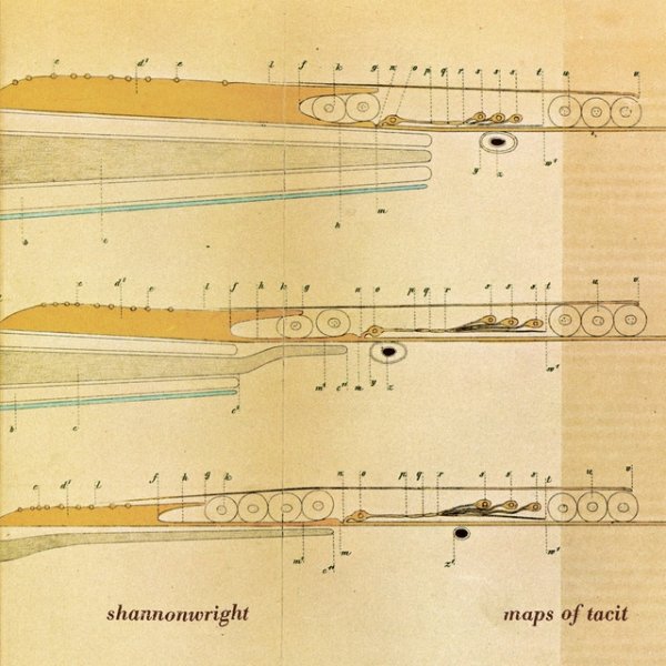 Album Shannon Wright - Maps of Tacit