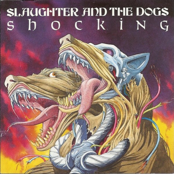 Album Slaughter and the Dogs - Shocking