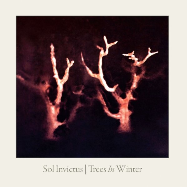 Album Sol Invictus - Trees in Winter