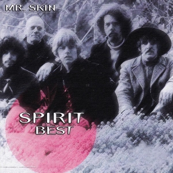Album Spirit - Mr. Skin - Spirit Best