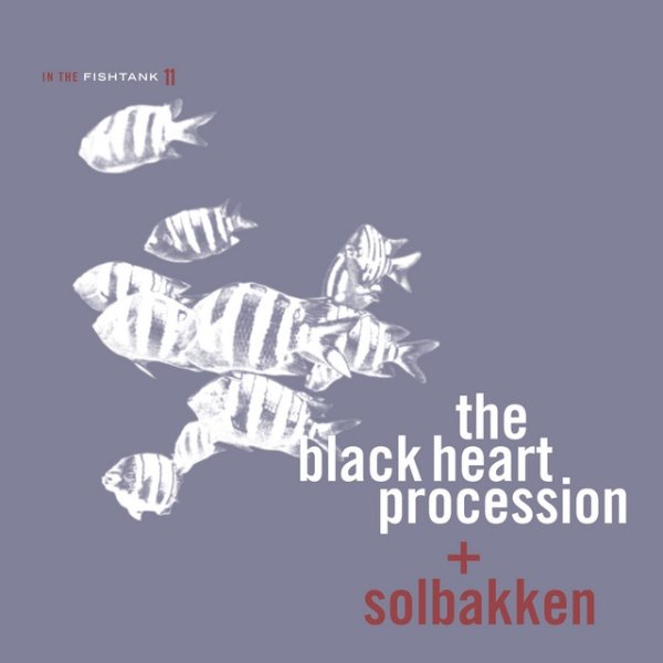Album The Black Heart Procession - In The Fishtank 11