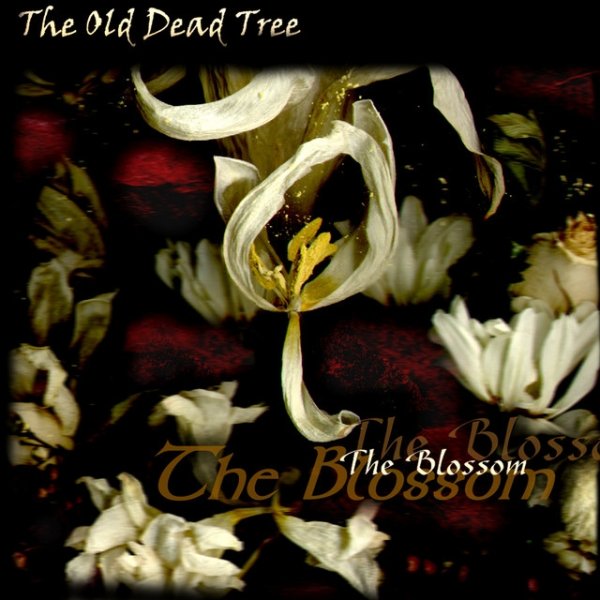 Album The Old Dead Tree - The Blossom