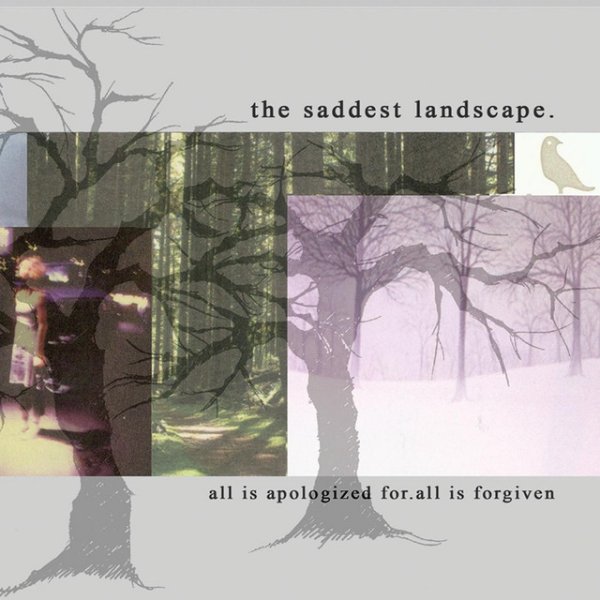 The Saddest Landscape All Is Apologized for. All Is Forgiven, 2008