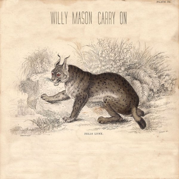 Album Willy Mason - Carry On