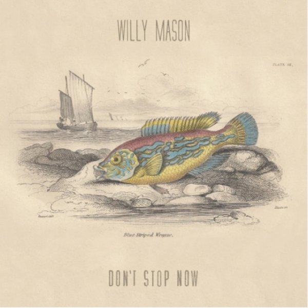 Willy Mason Don't Stop Now, 2012