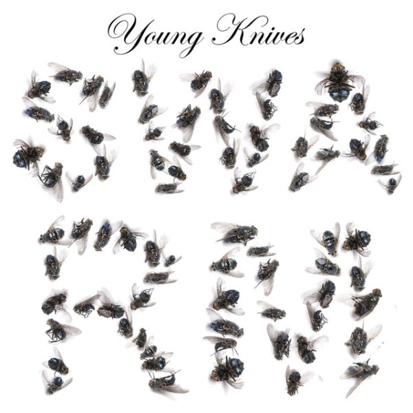 Album Young Knives - Swarm