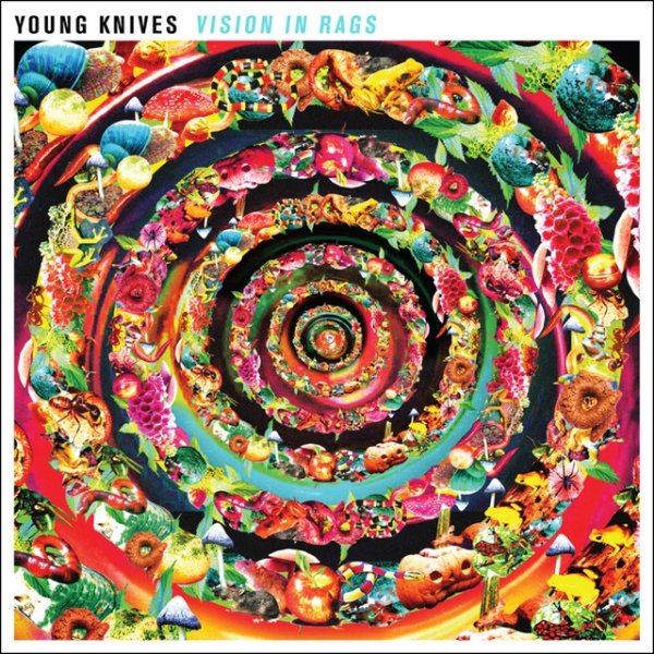 Album Young Knives - Vision in Rags