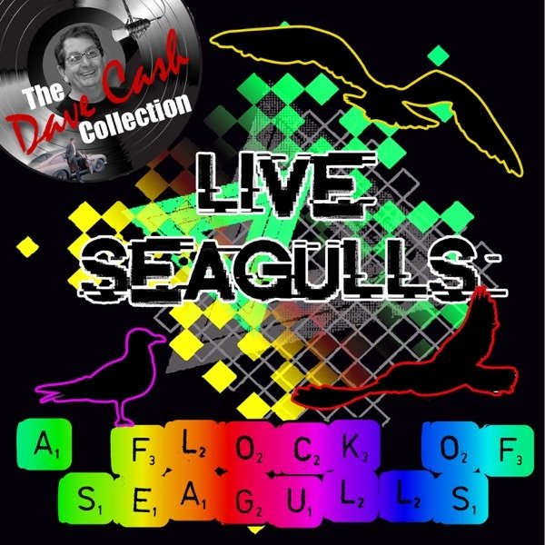 Album A Flock of Seagulls - Live Seagulls
