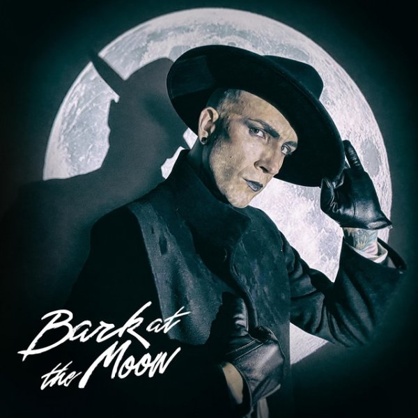 Album Aesthetic Perfection - Bark at the Moon