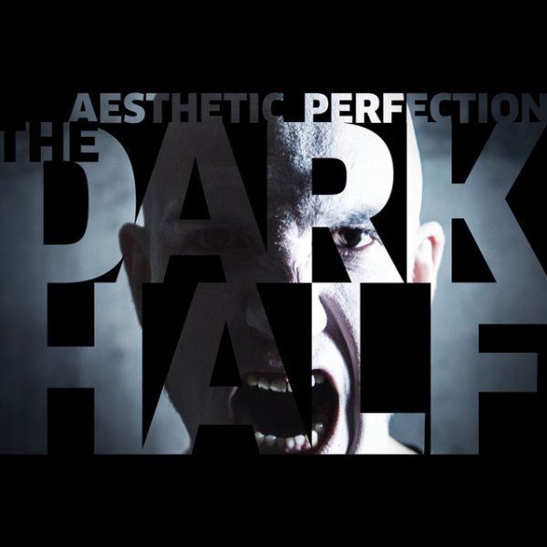 Album Aesthetic Perfection - The Dark Half