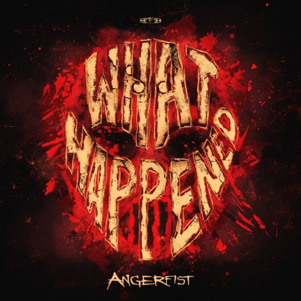 Album Angerfist - What Happened