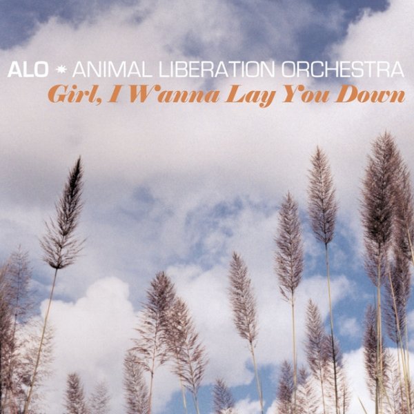 Girl, I Wanna Lay You Down - album