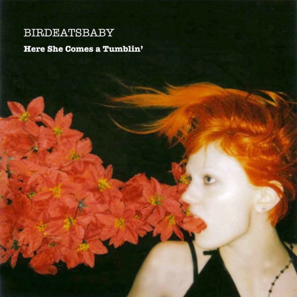 Album Birdeatsbaby - Here She Comes-a-Tumblin