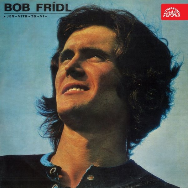 Album Jen vítr to ví - Bob Frídl