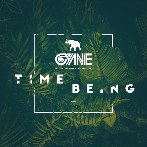 Album CYNE - Time Being