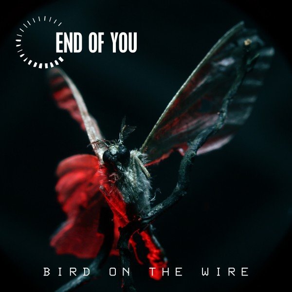 Album End of You - Bird on the Wire