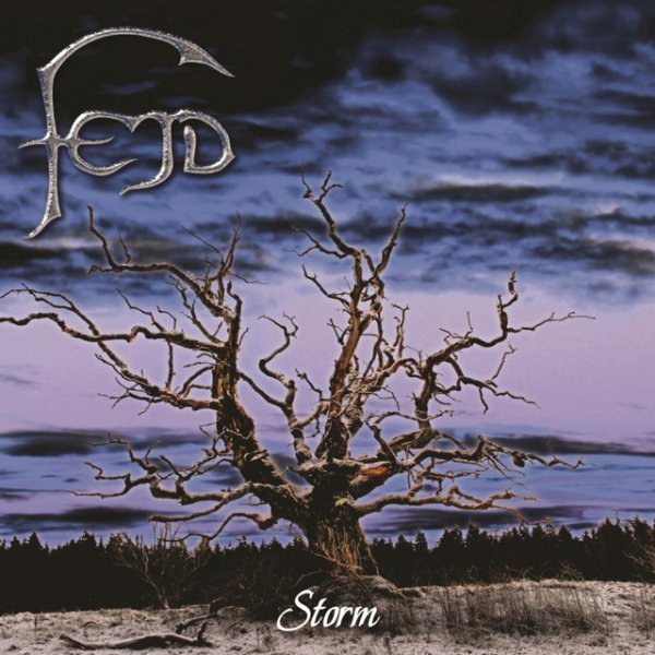 Album Storm - Fejd