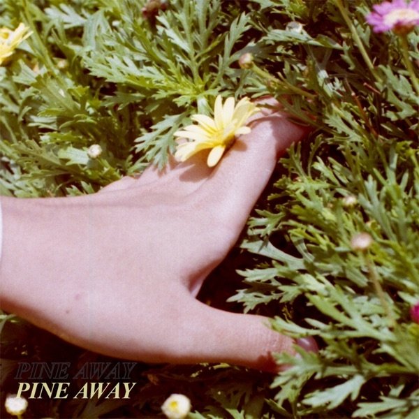 Album Grief - Pine Away