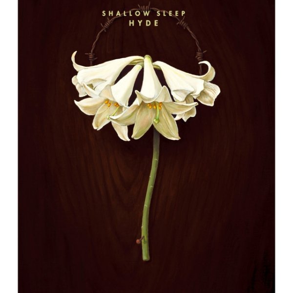 SHALLOW SLEEP - album