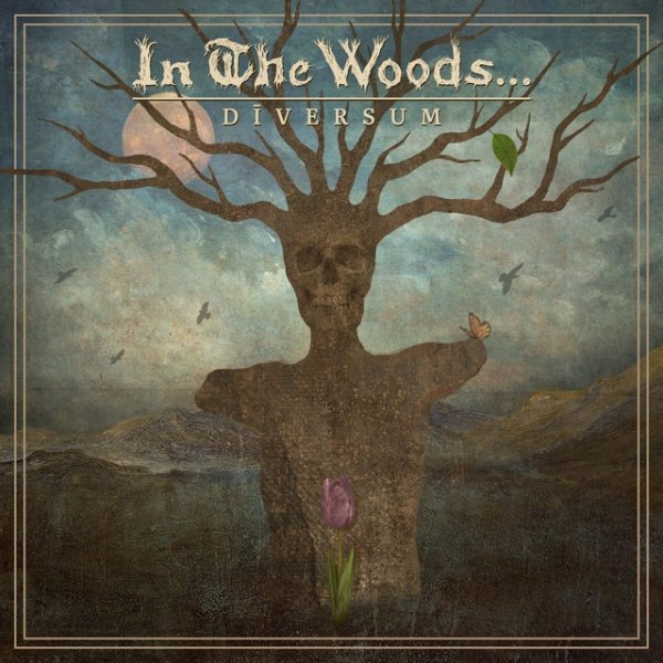 Album In The Woods... - Diversum