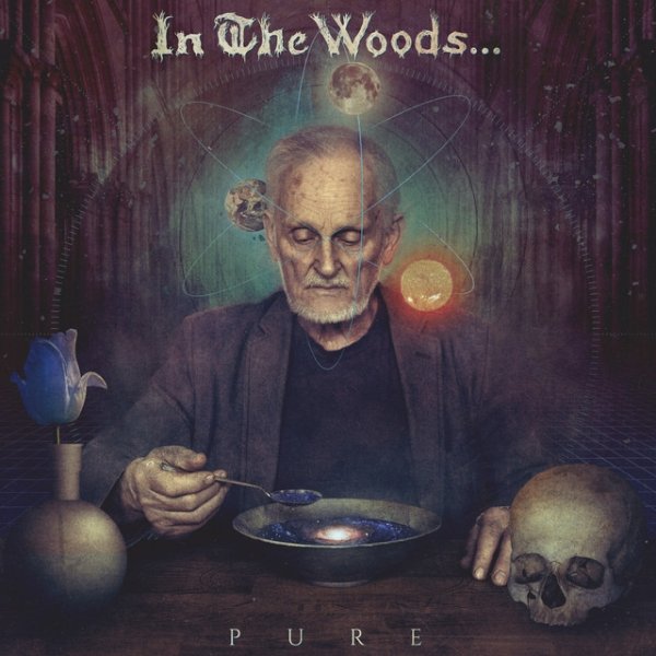 Album In The Woods... - Pure
