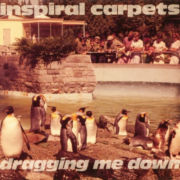 Album Inspiral Carpets - Dragging Me Down
