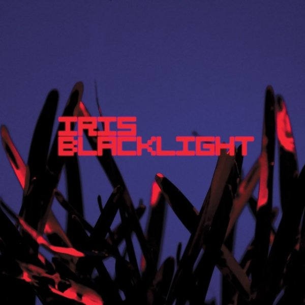 Album Iris - Blacklight