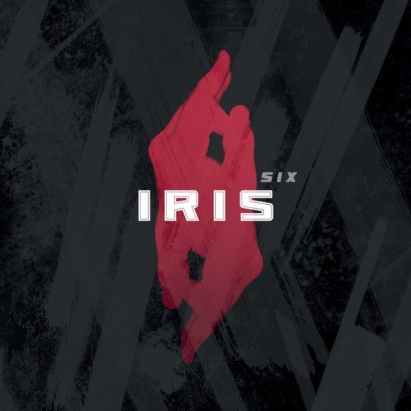 Iris Six, 2019