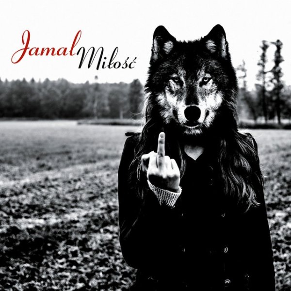 Album Jamal - Milosc