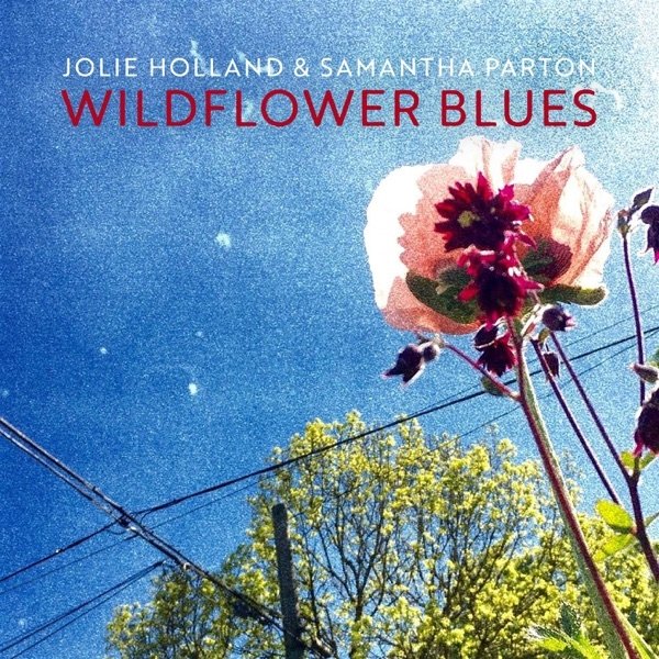 Album Jolie Holland - You Are Not Needed Now