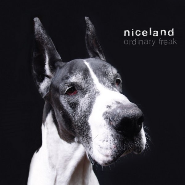 Album Niceland - Ordinary Freak