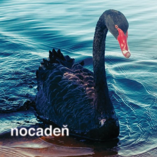 Album Nocadeň - Nestrielajte do labuti