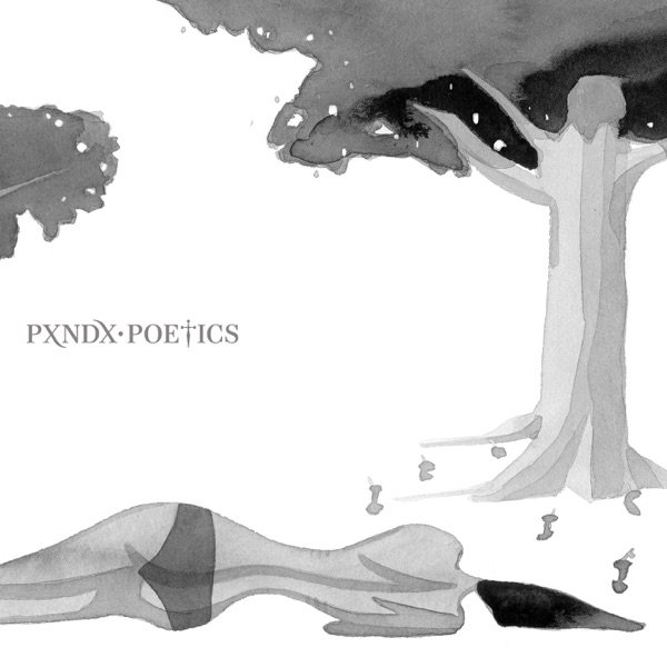 Album Panda - Poetics
