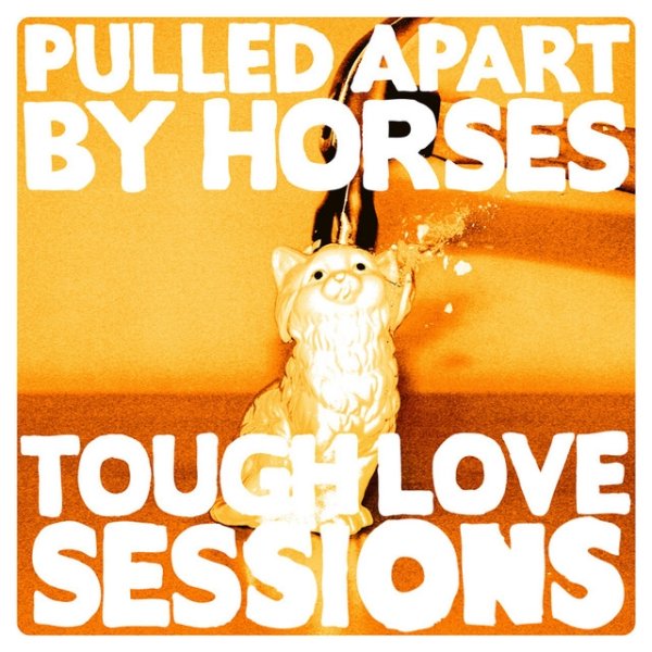 The Tough Love Sessions - album