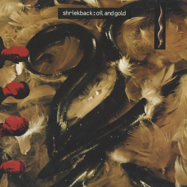 Album Shriekback - Oil and Gold