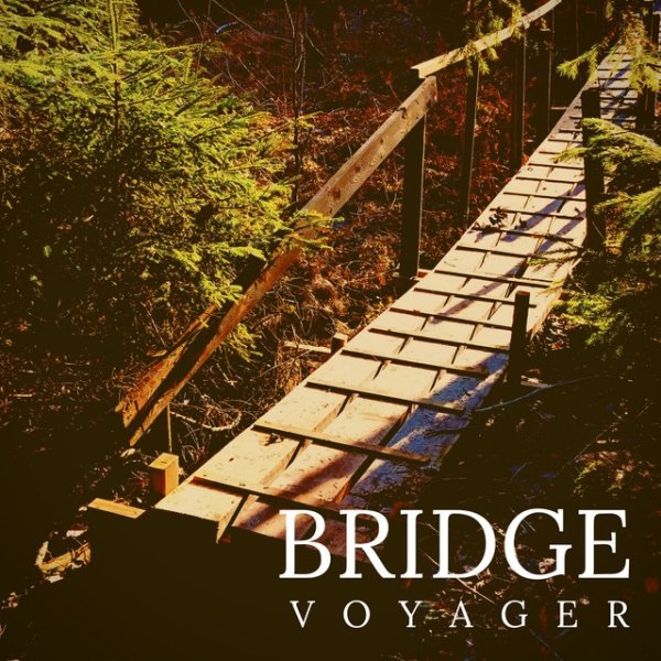 Voyager Bridge, 2019