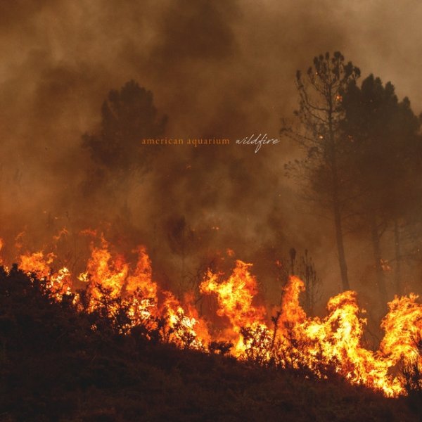 Album American Aquarium - Wildfire