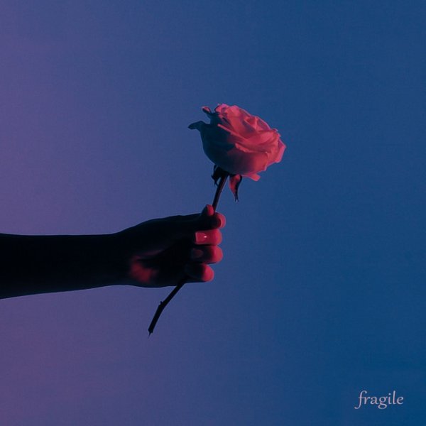 Album Anna Graceman - Fragile
