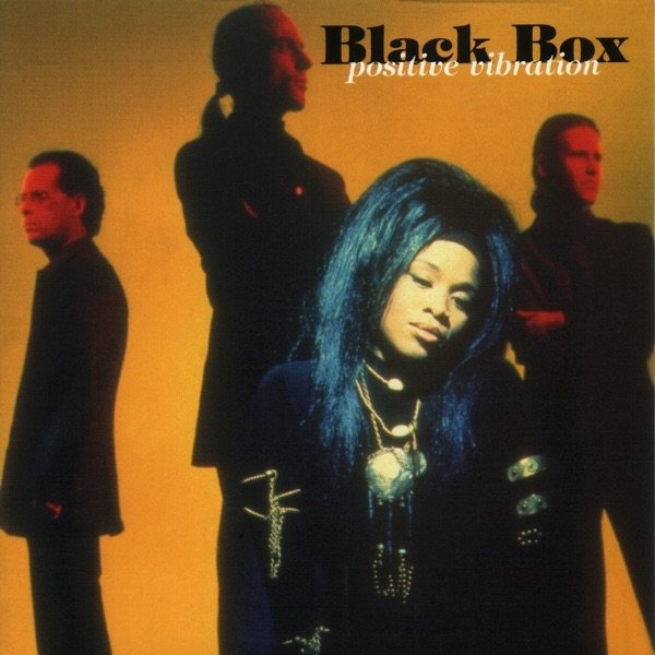 Album Black Box - Positive Vibration